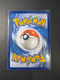 Venusaur EX - 198/165 - Special Illustration Rare - Pokemon 151